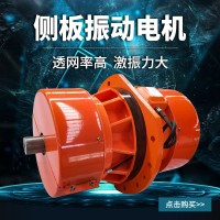 380v側板振動電機YTCB三相異步法蘭式振打震動脫水篩全銅