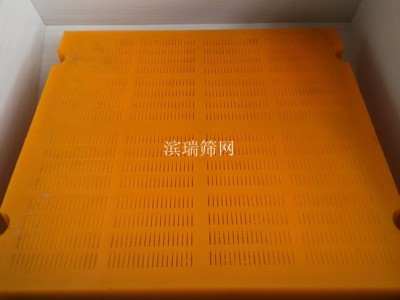 聚氨酯篩板