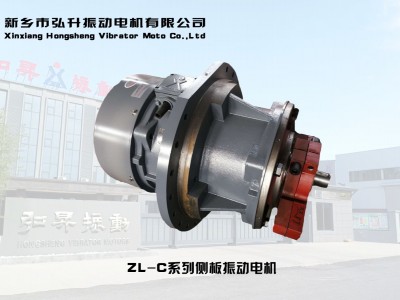 ZL-C系列側(cè)板振動(dòng)電機(jī)