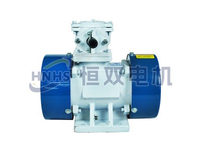 YBZD振動(dòng)源隔爆型三相異步電機(jī)