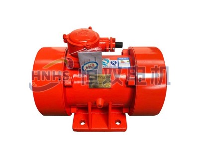 ExdⅡCT4Gb振動(dòng)源隔爆型三相異步電動(dòng)機(jī)