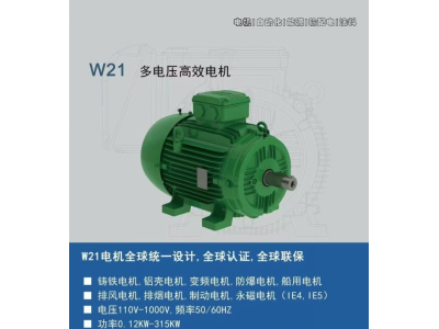 W21	多電壓高效電機