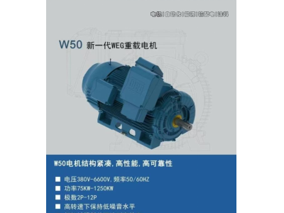 W50 新一代WEG重載電機